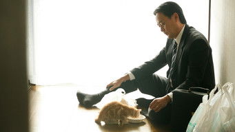 Episode 3 — Life's Puzzle Starts to Make Sense Far Down the Road