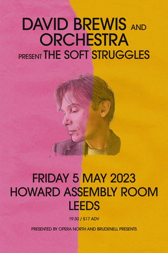 David Brewis: The Soft Struggles poster
