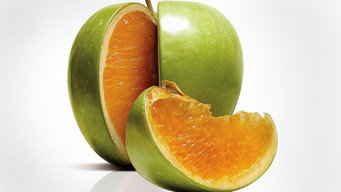 Freakonomics media image