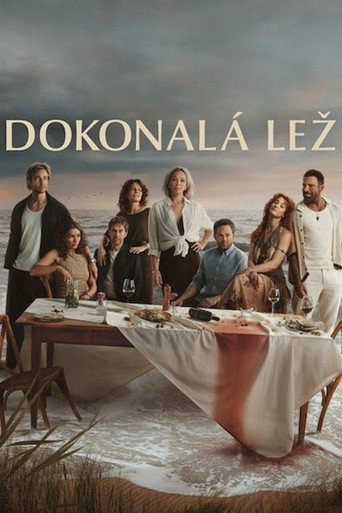 Dokonalá lež - plakát