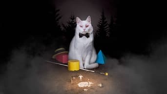 Galeria 1 - Koko-di Koko-da