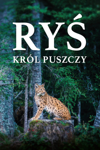 Ryś. Król puszczy