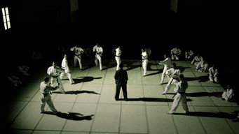 Іп Ман (2008)