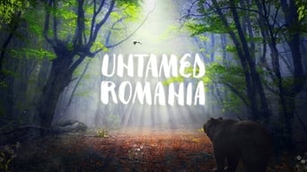 #6 Untamed Romania