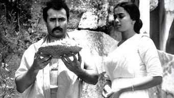 The Treasure (1972)