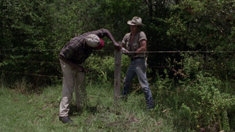 The Enchanted (1984)