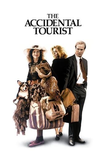 Poster för Den tillfällige turisten