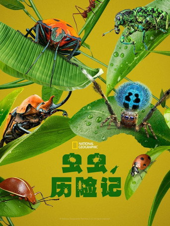 虫虫历险记