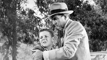 Johnny Rocco (1958)