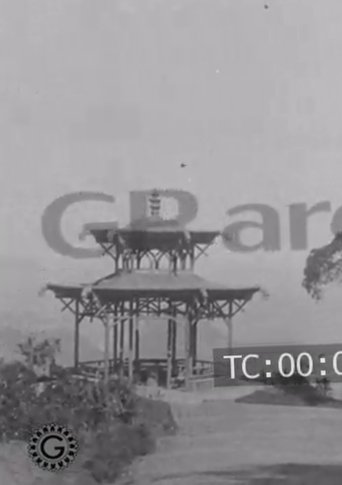 Promenade in Tijoca poster