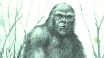 Boggy Creek Monster (2016)
