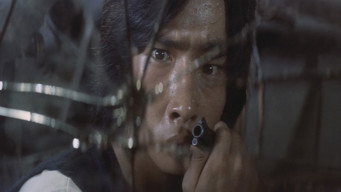 Stray Dog (1973)