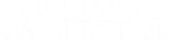 Murder in a Small Town logo