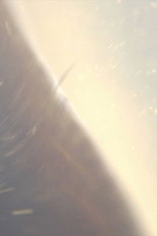 Company Stream poster