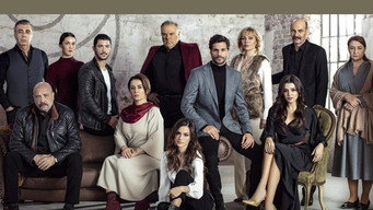 #8 Halka