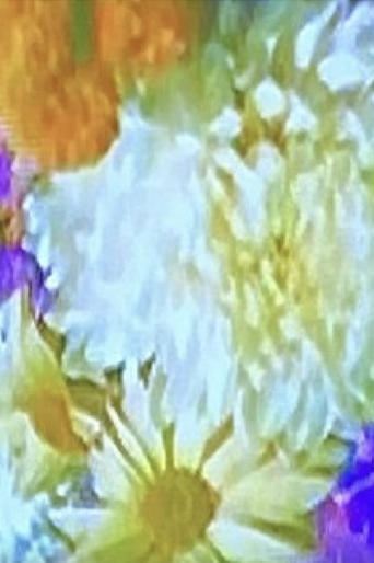 Meta-Marcel: Window (Flowers) Meta-Marcel: Window (Flowers)