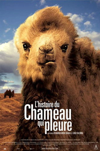 L'Histoire du chameau qui pleure (2004)