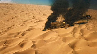 Beached media image