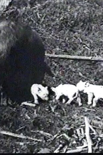 Mamma's Pets (1898) Mamma's Pets (1898)