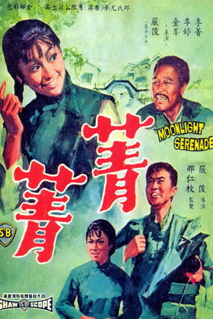菁菁 (1967)