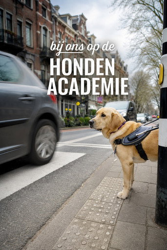 Here at the Dog Academy