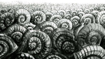The Snails (1966)