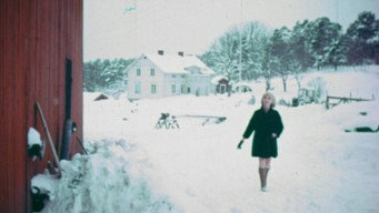 The Indelicate Balance (1969)