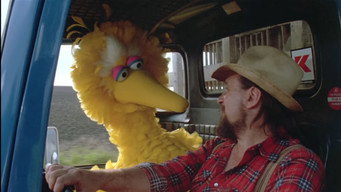 #10 Follow That Bird