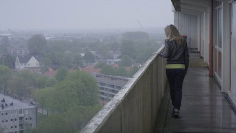 Mothers Don't Jump from Flats (2013)