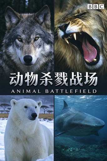 动物杀戮战场