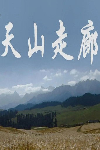 天山走廊 poster