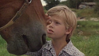 A Collar for Marquis (1978)