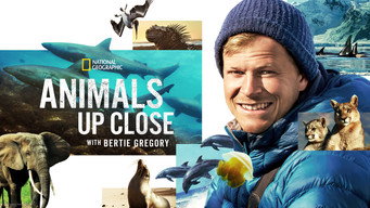 #6 Animals Up Close with Bertie Gregory