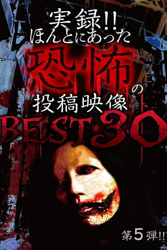 実録!!ほんとにあった恐怖の投稿映像 BEST 30 第5弾!!海报