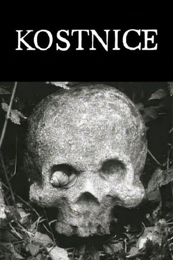 Kostnice (1970)