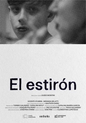 El estirón (2026年)のポスター画像 - FindKey