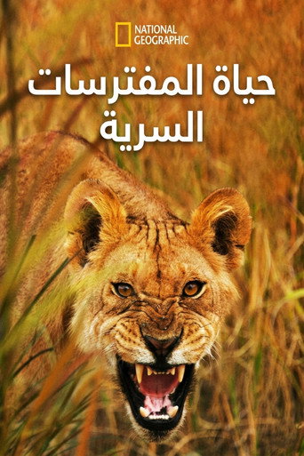 حياة المفترسات السرية
