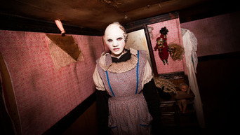 Galeria 3 - The Houses October Built