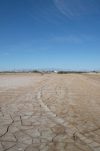 Desert Shores