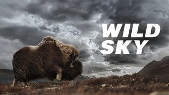 Wild Sky (2025)