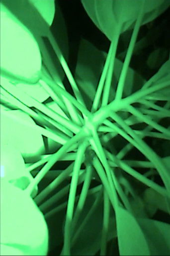 Relato del sueño de una hormiga peronista a sus compañeras