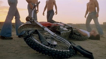 Hidden Pleasures (1977)