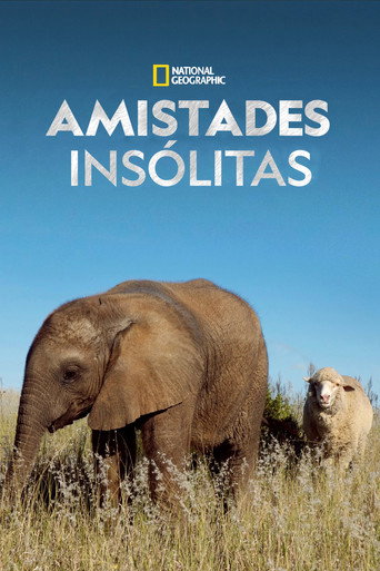 Poster 7