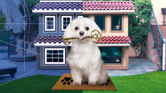 Barkitecture (2020)