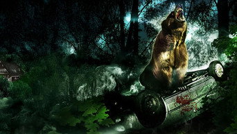 Bear media image