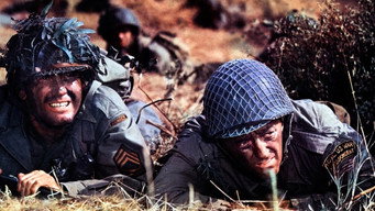 Anzio media image