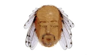 #1 Bill Bailey: Tinselworm