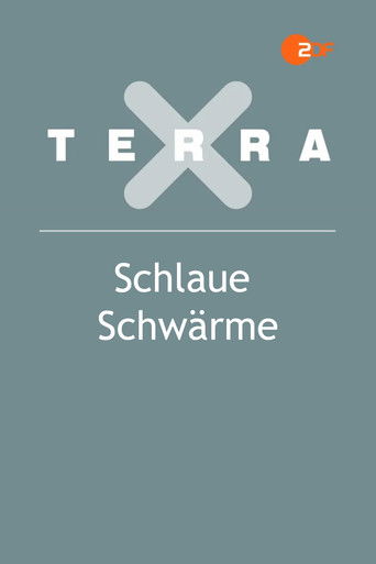 Schlaue Schwärme poster