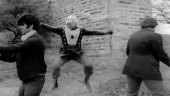 Spider media image