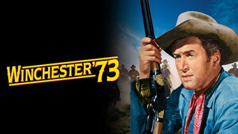 #7 Winchester '73